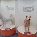이구현한의원 네이버블로그