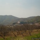 용천리 오층석탑 이미지