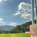 호화리안 이미지