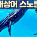 고래투어