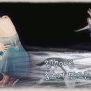 은반위의 요정 - 김연아(Fairy On The Ice - Yuna Kim) 김연아를 춤추게하는 음악들~~ 이미지