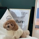 로힌(rohin) 이미지