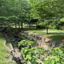 대왕수천 이미지