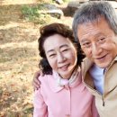 마지상회