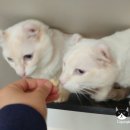 호텔엘린 이미지