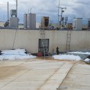 제주관광대학교 이미지