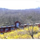 팔영산자연휴양림 이미지