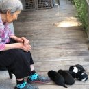 소통과 힐링의 시창작 이미지