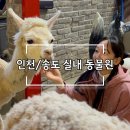 [인천/송도 이색 데이트] 실내 동물원 테이블에이 다양한 체험