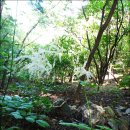 가평1리 마을회관 이미지