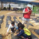 서농초등학교 이미지