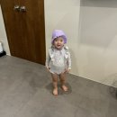 스테이그라피 이미지