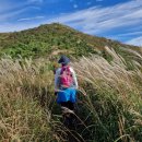 삼비산농장 이미지