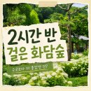 더화담 | 화담숲 수국철 후기｜모노레일 2구간부터 2시간 반 걸어본 관람 코스(2편)