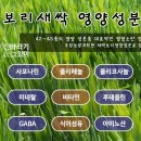 보리에너지 이미지