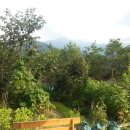 둘레길3코스민박 이미지