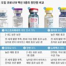 아녜스쇼핑