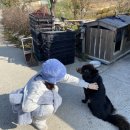 1박2일민박 이미지