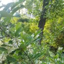 도덕행복의원 이미지