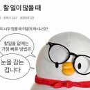 더오리 - 관악구 양녕로 66 | 더오리