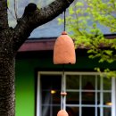 춤추는꽃동네 이미지