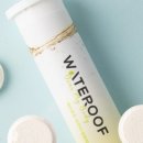 워터루프(Wateroof)