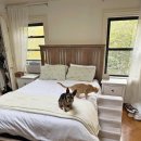 필승농장 이미지