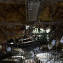 양동농장 이미지