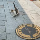 그루터기 작은도서관 | Inner busy한 저번주를 Dump