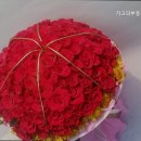 가고파 공인중개사사무소 이미지