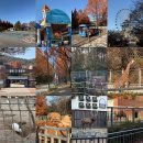 뻥튀기공원-2 | 전라도 광주 가볼 만한 곳 우치공원 동물원 패밀리랜드 주차장 호랑이 하마