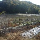 구산면418 네이버블로그