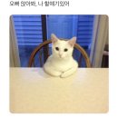 둔대초교 | 나의 열아홉