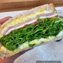 삿포로, 치토세공항으로 배상준작가님의 맥주인문학 여행