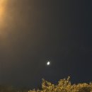 이안 슈가링왁싱 광명역본점