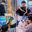 쥬니멀 | 인천 아이와 가기 좋은 동물카페 추천 쥬니멀 후기 (사진많음)