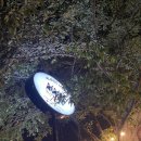 러스틱라운지 이미지