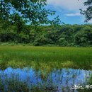 물영아리오름 이미지