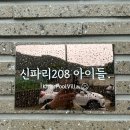 신파리208아이들 이미지