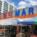 엘디마트 이미지