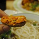 국수나무 이미지