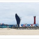 고래불 해수욕장 이미지