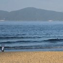 엘모멘토 해운대 네이버블로그