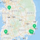 부산고양이분양제나캣 사상점 이미지