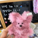 멍스낵 이미지