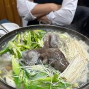 이실이네 이미지