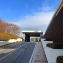 행정용 8번 | [25년12월] 레이크우드cc "산길-숲길 코스" 라운딩 후기