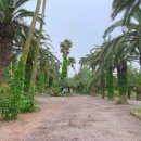 고하농장 이미지