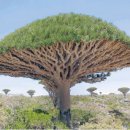 인제의원 이미지