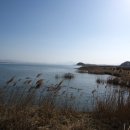 지산(팽목)